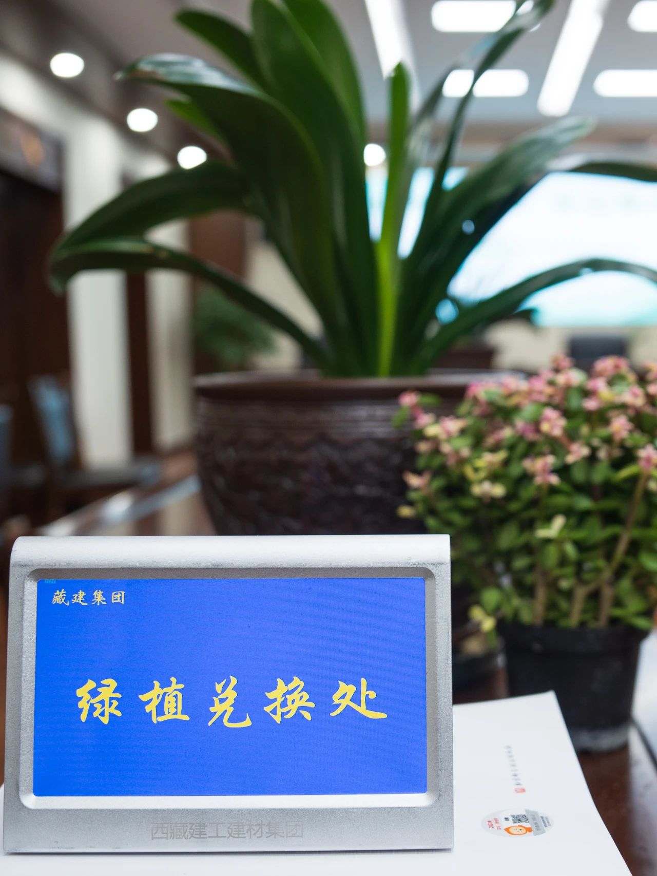 116381416527362727951479780 一飞冲天300倍游戏(中国游)·官方网站