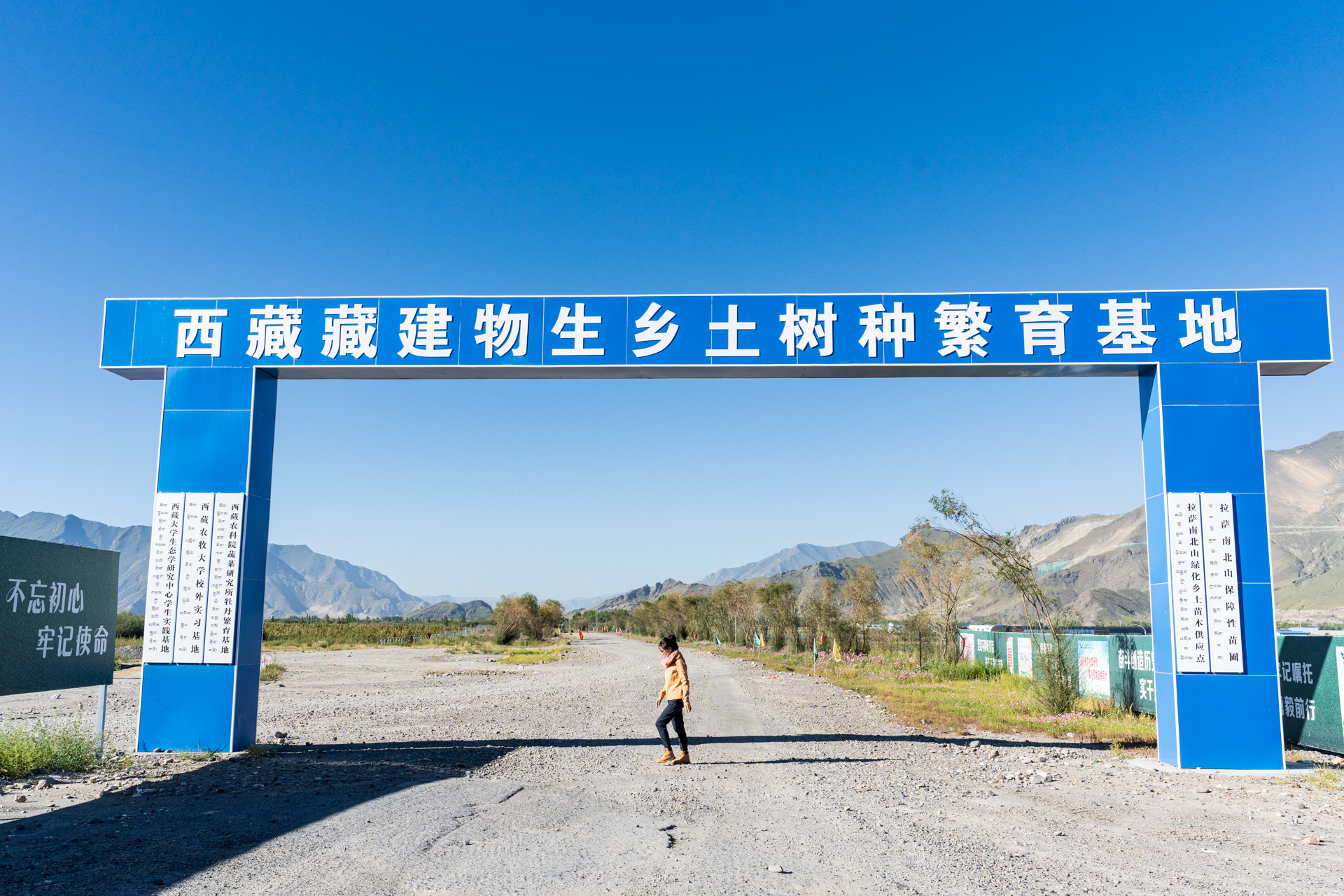176383058214346939436854444 一飞冲天300倍游戏(中国游)·官方网站