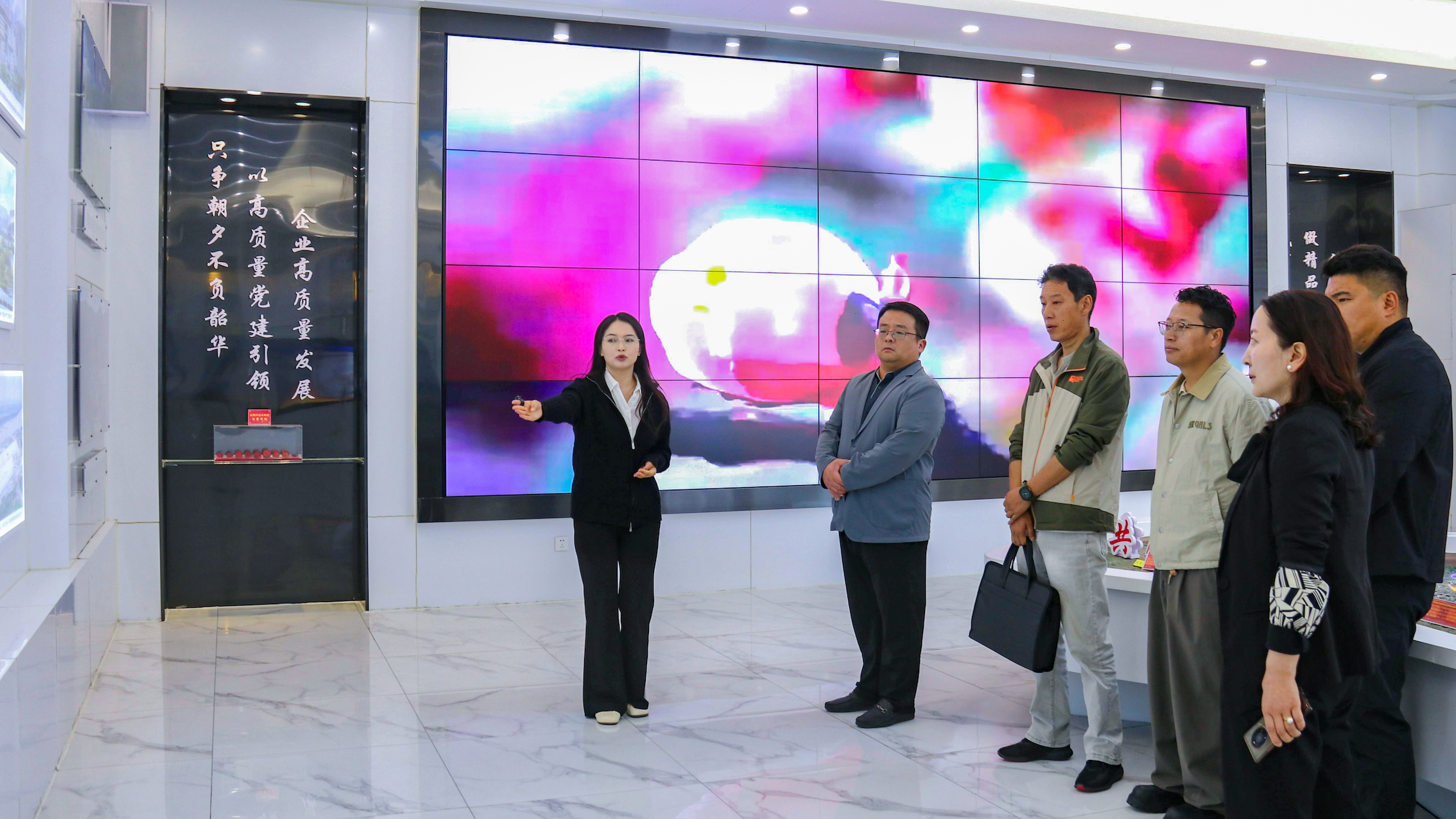 296392096161050264337616186 faca11.png
